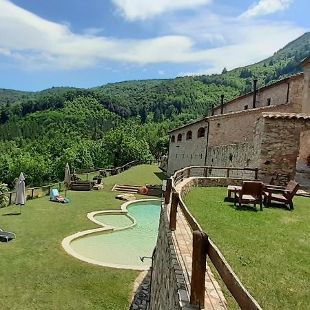 Agroturismo Mas Vilar, Feel At Home Arbúcies Extérieur photo
